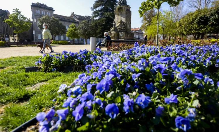 jardin pontevedra Merca2.es
