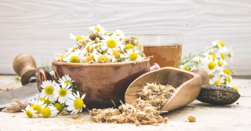 manzanilla piel Merca2.es