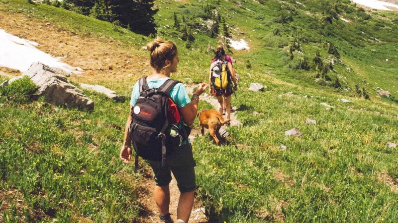 Esto es lo que te puede pasar si te pica una garrapata 42 Merca2.es montana Merca2.es