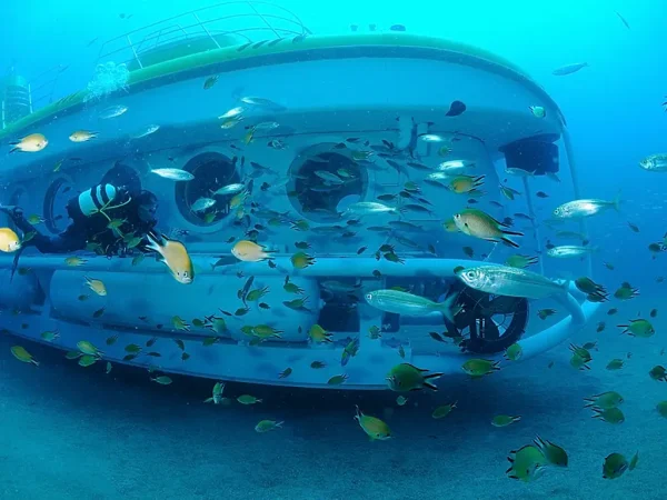 Descubre dónde puedes hacer un increíble viaje en submarino por unos 50 euros 20 Merca2.es peces Merca2.es