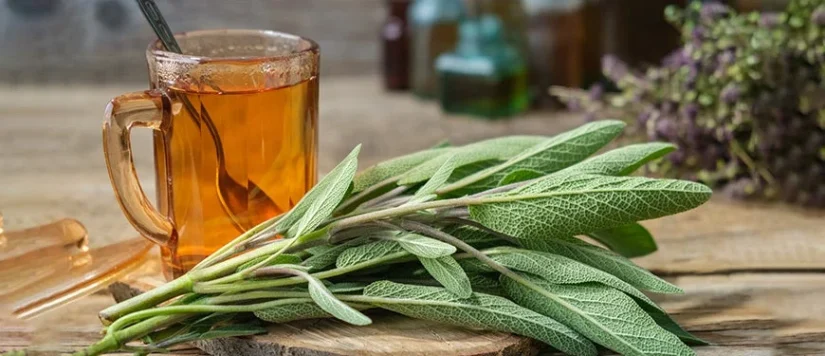 Remedio natural para reducir los ovarios poliquísticos 1 Merca2.es Remedio natural para ovarios poliquísticos