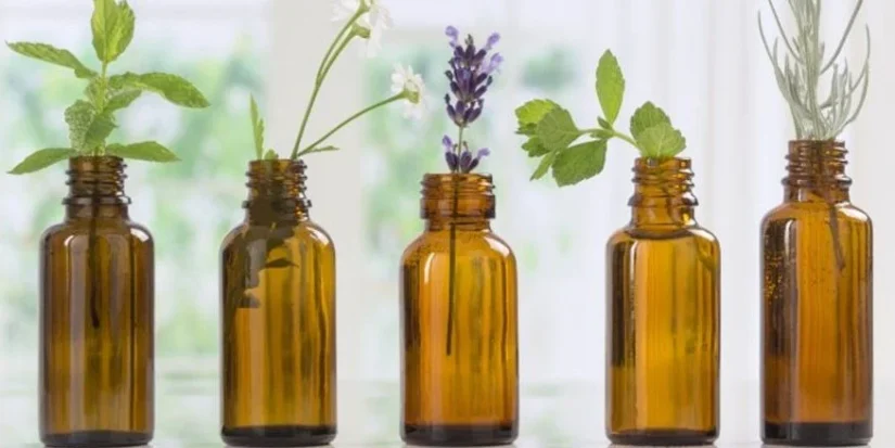 Remedio casero infalible para decir adiós a la sinusitis crónica 1 Merca2.es El poder de los aceites esenciales