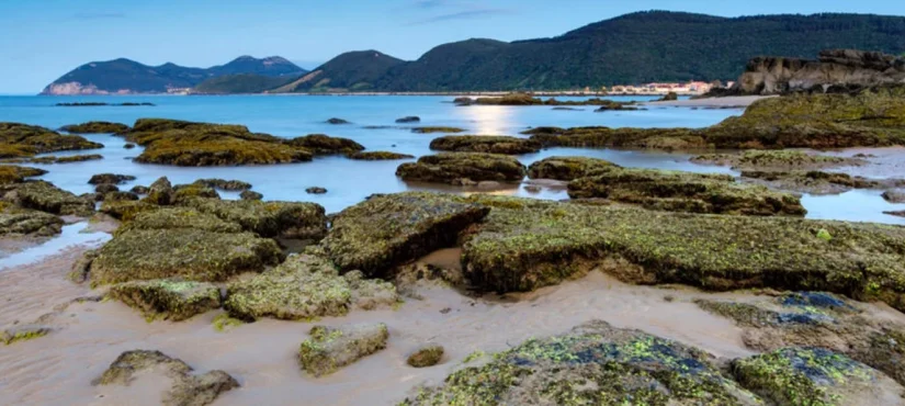 screenshot viajes.nationalgeographic.com .es 2024.06.14 12 21 09 Merca2.es