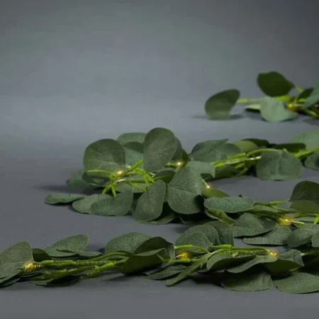 2024071717511350204 Merca2.es