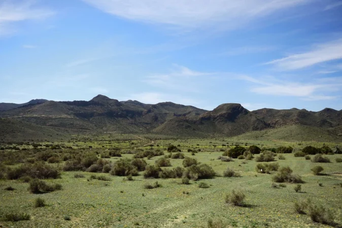 Cabo de Gata 13 Merca2.es