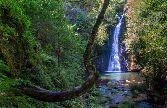 adobestock 374305992 55398884 240627163446 1280x825 Merca2.es