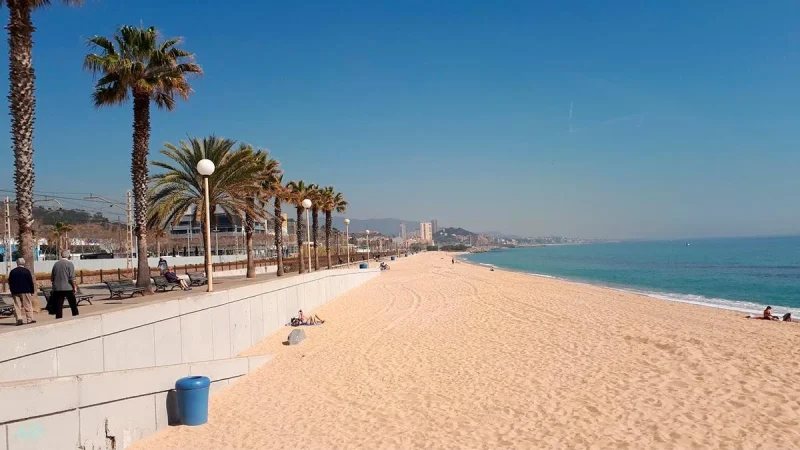 b837c07b 507e 4338 b0a4 17857e0c5cc3 alta libre aspect ratio default 0 Merca2.es