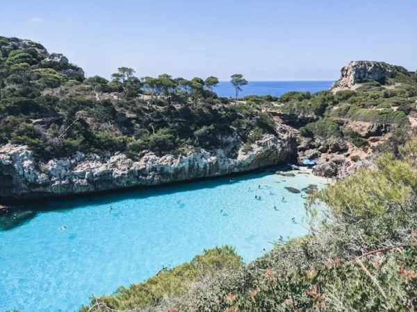 calo des moro Merca2.es