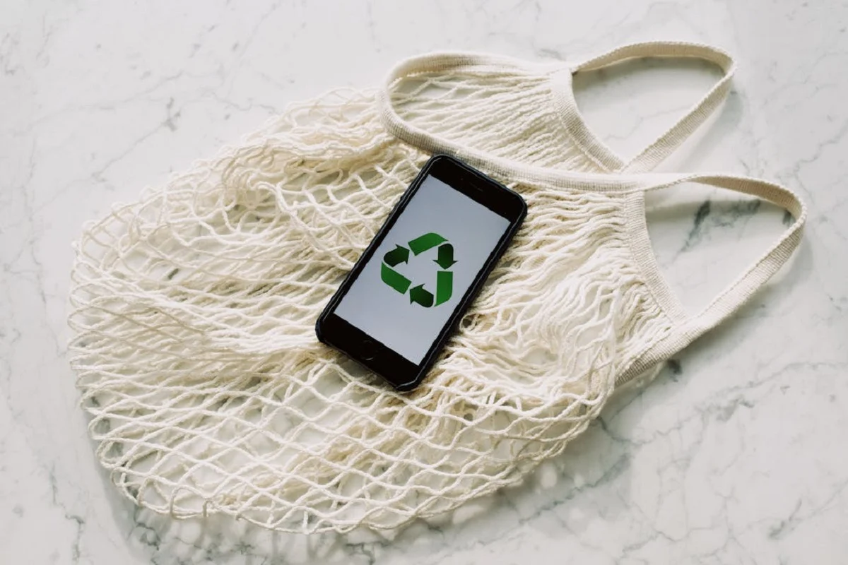 ecologia Comercio electrónico: el gran aliado de la ecología