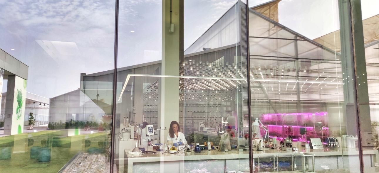 El centro de biotecnología MAAVi desvela cómo el pelo porcino puede cambiar la forma de cuidar el cabello