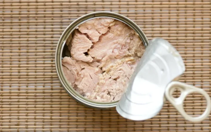 La OCU advierte: solo estas dos latas de atún son recomendables para tu salud