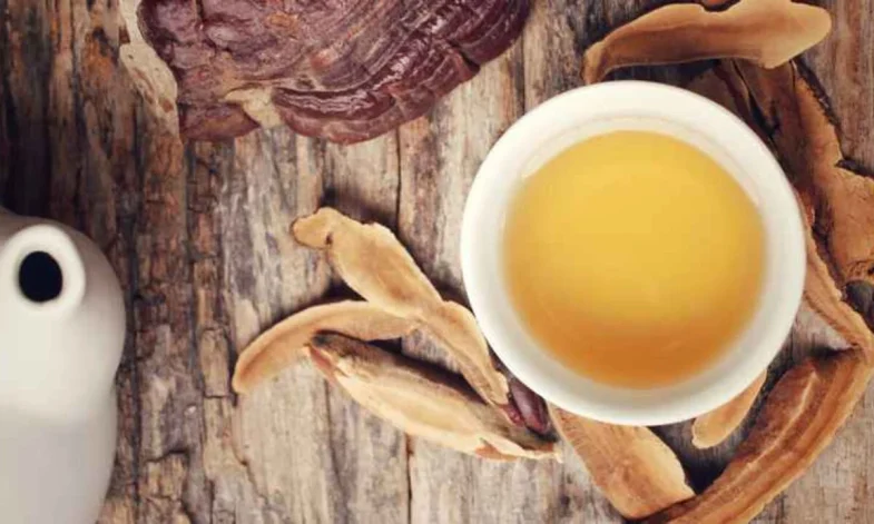 reishi-vegano-el-corte-ingles-- El reishi vegano que quieres, ahora a precio de regalo en El Corte Inglés