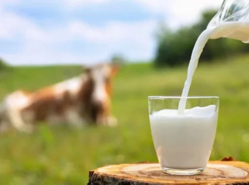 LECHE Según la OCU, esta es la mejor leche entera del súper