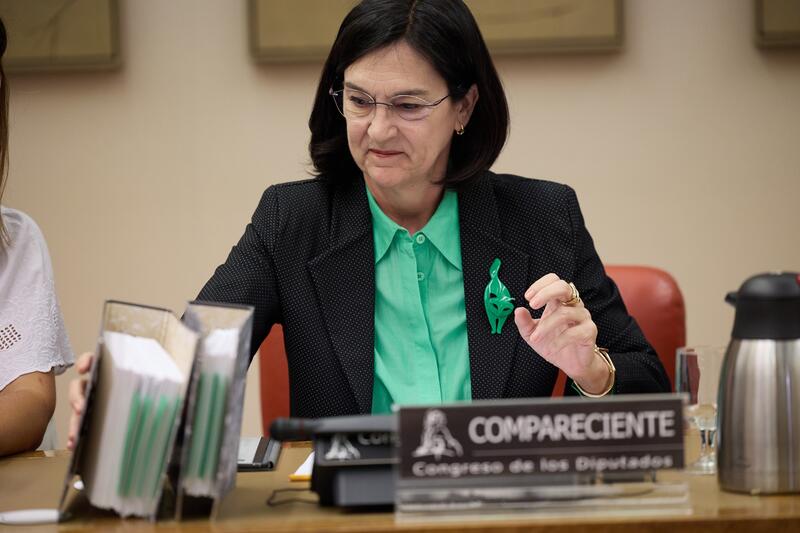 La CNMC ve «un impacto positivo» de la multa histórica a Booking para el tejido empresarial