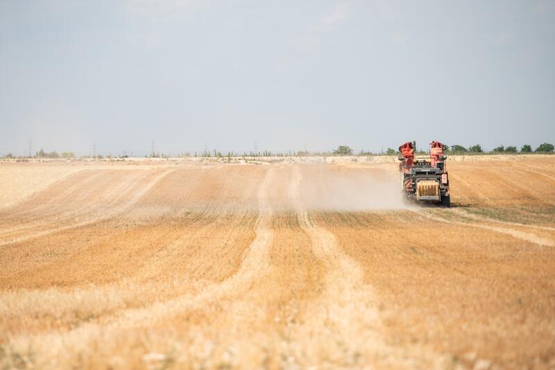 Agricultura lanza ayudas de 500.000 euros para asociaciones de mujeres rurales a nivel nacional