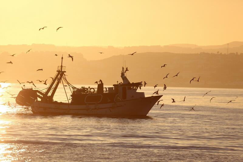 Un grupo de 13 naciones se une a España en su inquietud por el recorte de la cuota de anchoa en el golfo de Cádiz