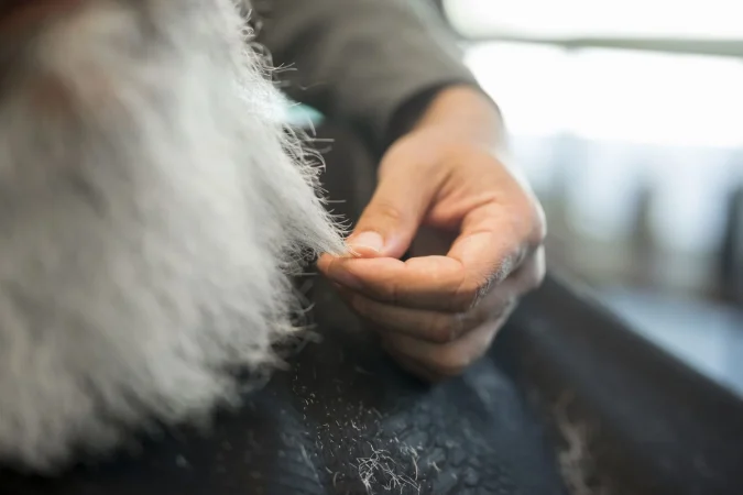 hairdresser holding strand gray hair client Merca2.es