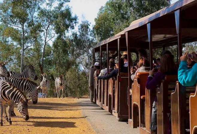 Con un propio safari, la actividad más destacada de la "Texas de España"