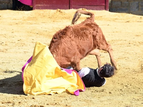 cayetano rivera Merca2.es