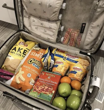 Alternativas a los alimentos prohibidos en el avión 