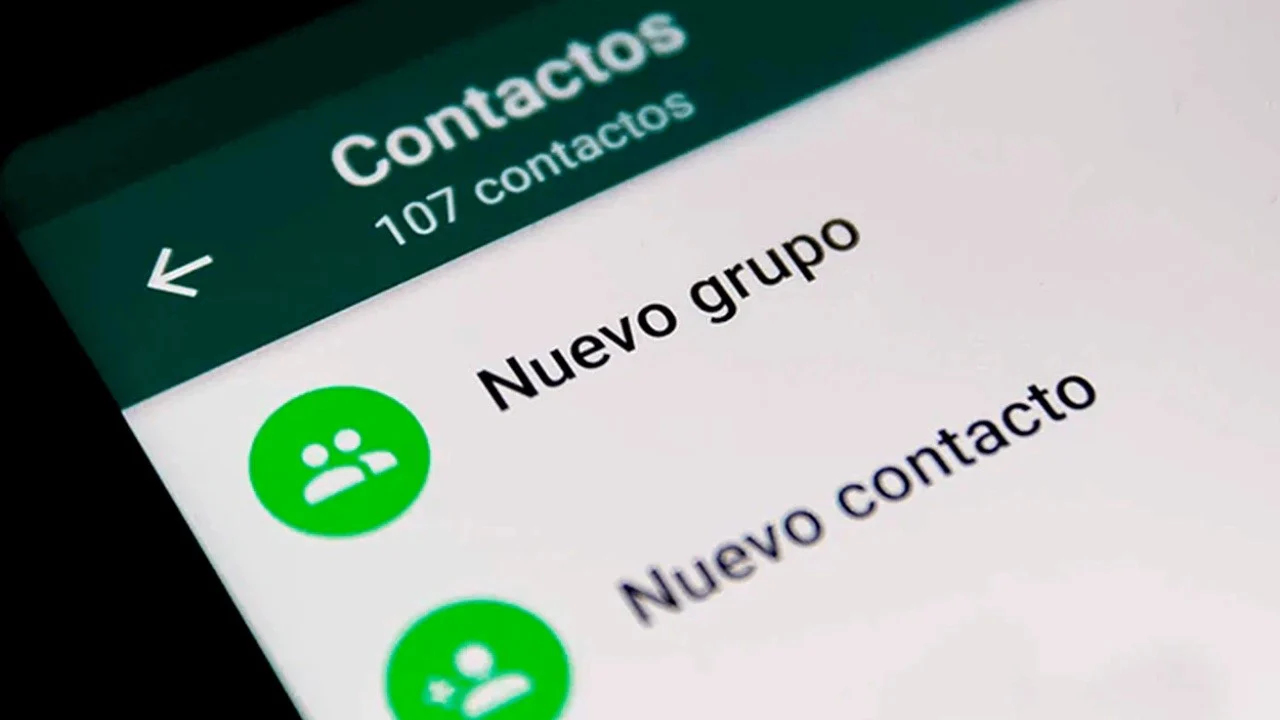 Con este nuevo ajuste ya no volverás a perder los contactos de tu WhatsApp
