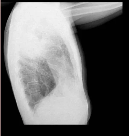 d1b72f46 7af8 4207 8ee9 9876f8e5160c Merca2.es