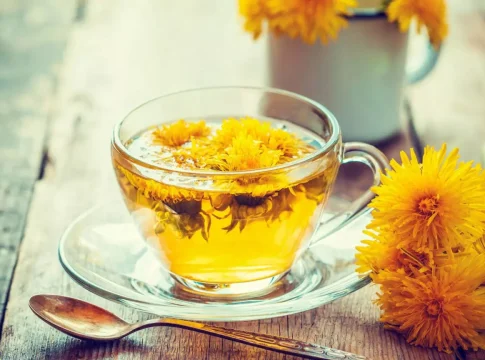 diente de leon 3 Este té superalimento supera al yogur y al kéfir en probióticos y cuida tu flora intestinal