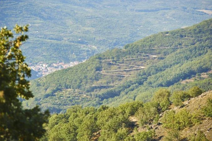 honduras 0152 Merca2.es