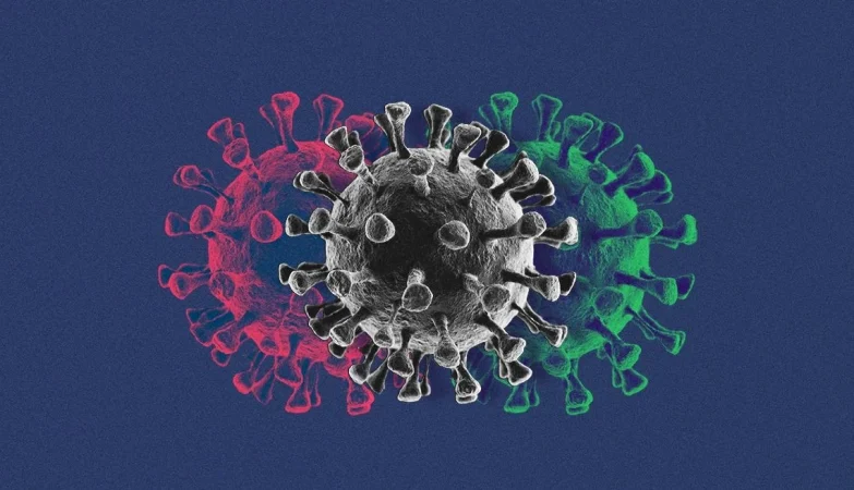 Mecanismos de propagación de la variantes XEC