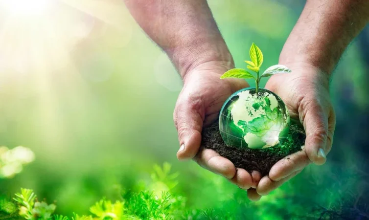 Alternativas que se dan la mano con la enoconomía y el medioambiente