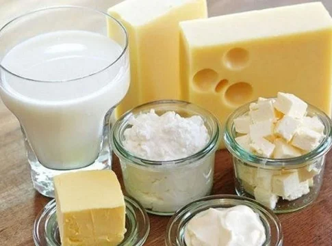 productos lácteos bajos en grasa