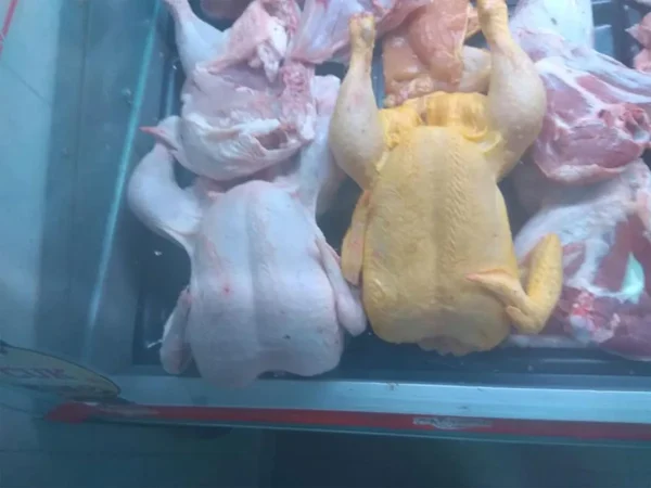 Diferencias en la apariencia y su origen