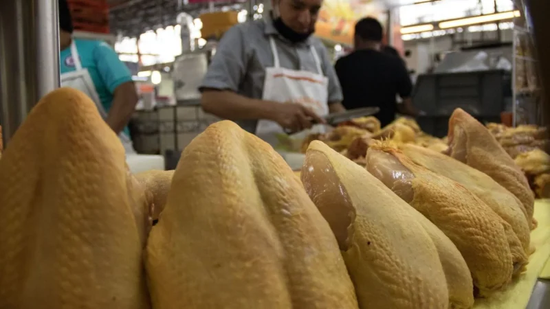 Nutrición ¿Cuál es la mejor opción?