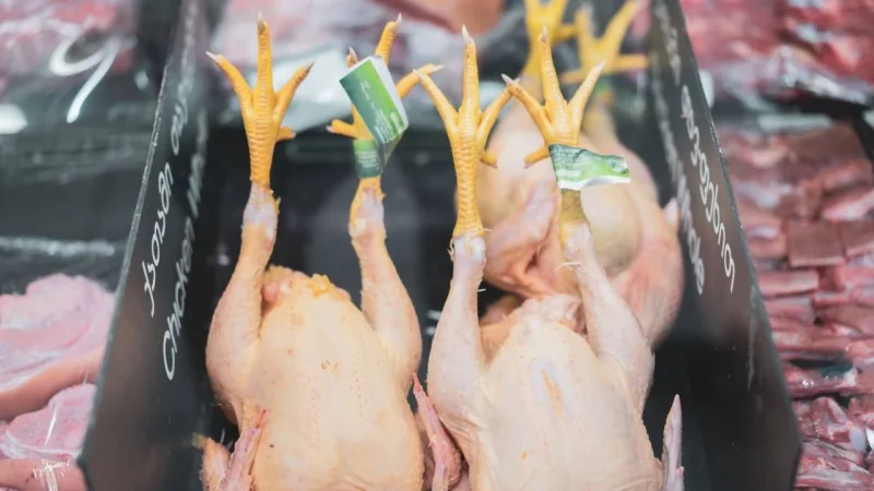 Mitos sobre el pollo amarillo y el blanco 