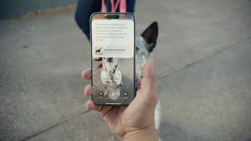 Todo lo que debes saber sobre Visual Intelligence, la nueva función que llegará al iPhone de Apple 7 Merca2.es Visual iPhone