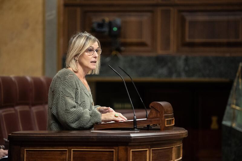 El PNV niega presiones de empresas o de Junts para hacer caer el impuesto extraordinario a energéticas