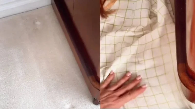 Consejos adicionales para el cuidado de tus alfombras