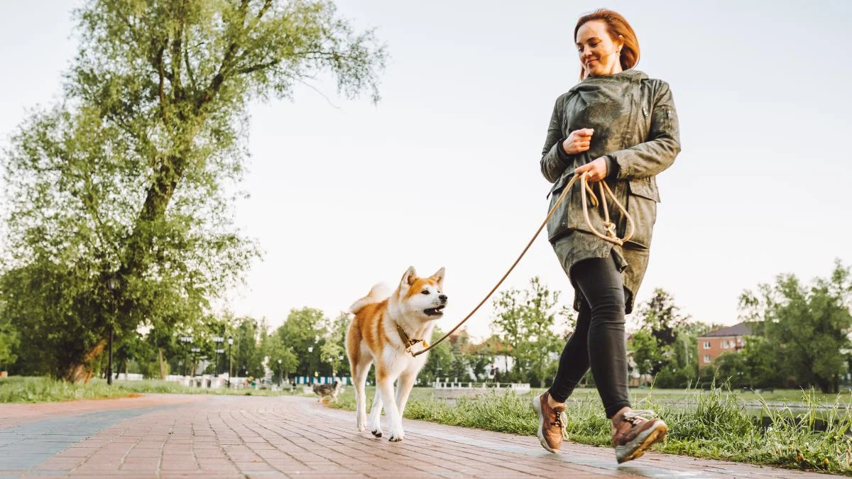 Àlvaro López, adiestrador canino: «Cuando entiendes sus señales la mayoría de los problemas con tu perro desaparecen»