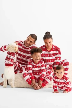 Muñeco de nieve y pingüino