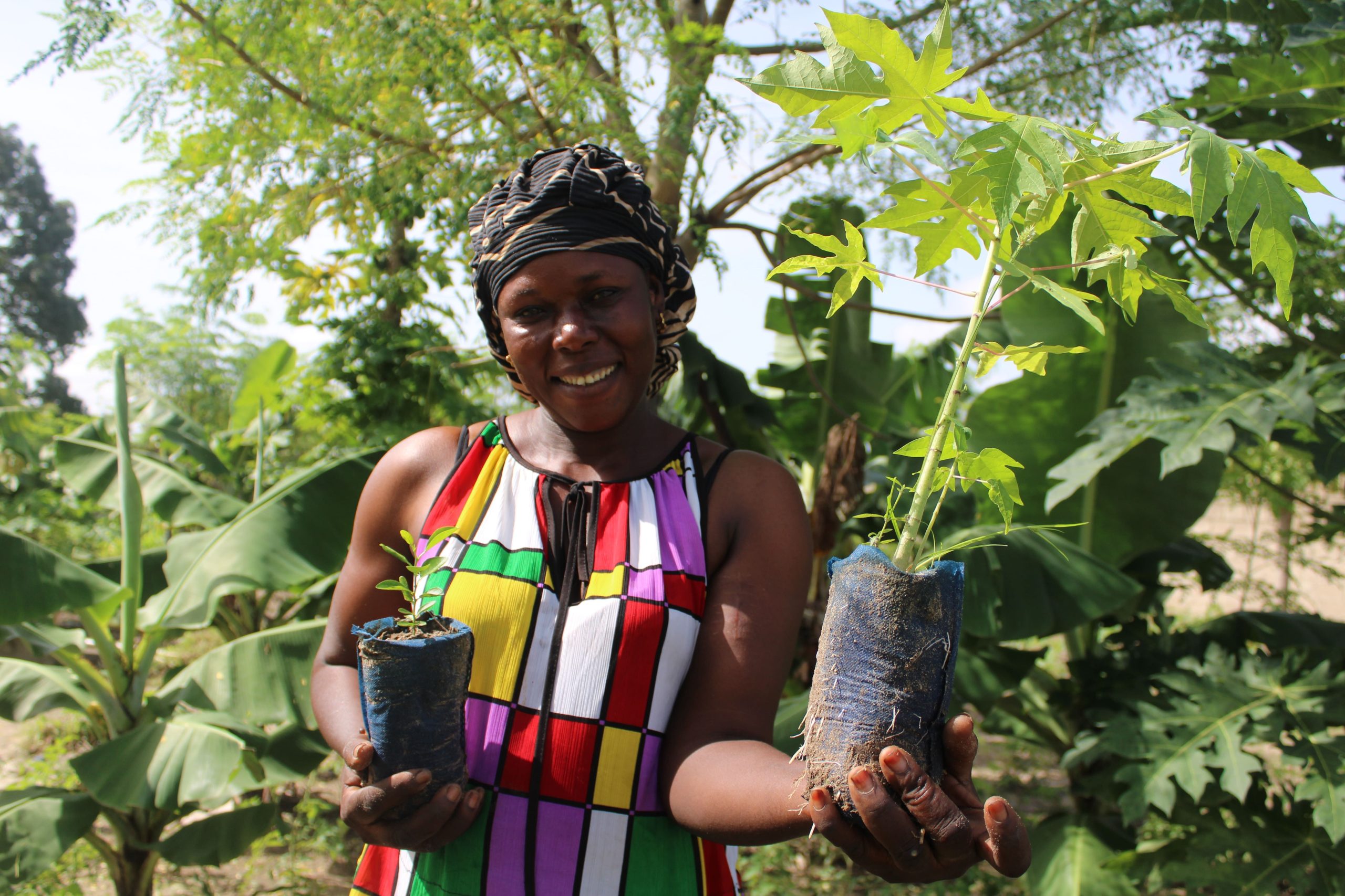 #GivingTuesday: Smoking Paper logra plantar más de 223.000 árboles con el apoyo de sus seguidores