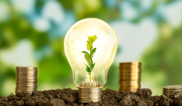 Eficiencia energética y ahorro sólido