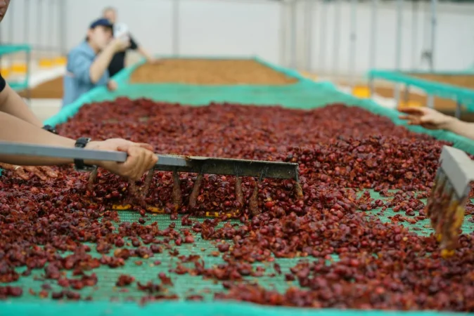 España y más: los países en los que se consume este tipo de café 