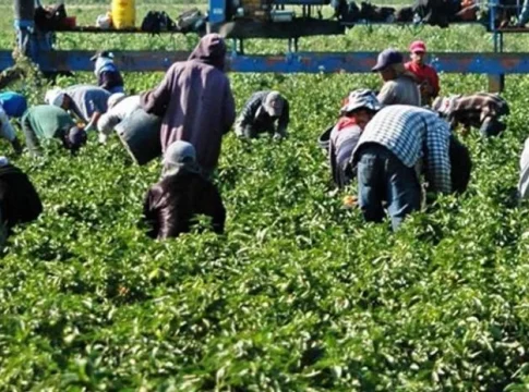 trabajadores-migrantes-europa-press
