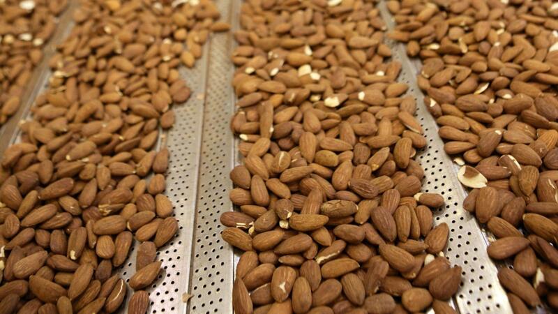 Borges lanza una OPA de exclusión sobre su filial de frutos secos Bain para sacarla de Bolsa Borges lanza una OPA de exclusión sobre su filial de frutos secos Bain para sacarla de Bolsa