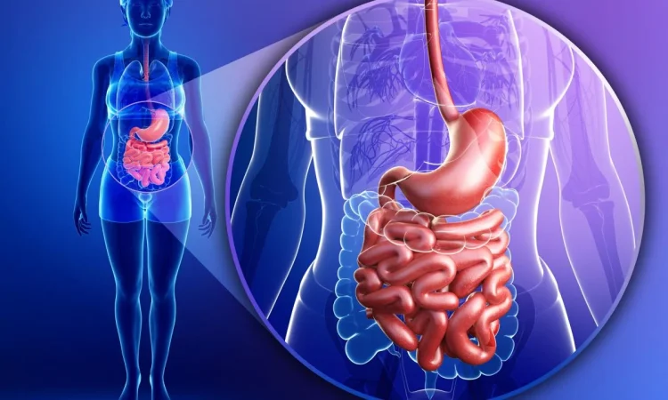 Los consejos indispensables para que dejes el alcohol por un mes