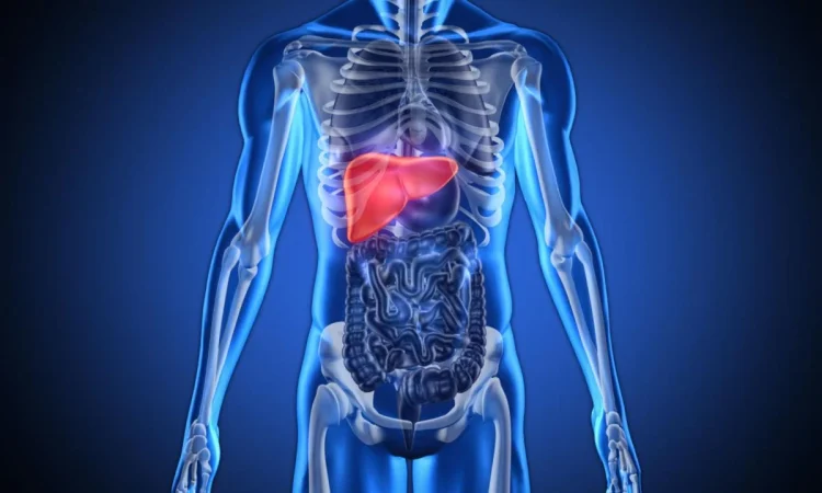 Los efectos en la salud física de los individuos