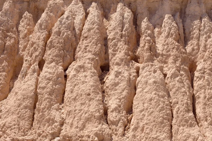 Antecedentes sugestivos sobre las Bardenas Reales