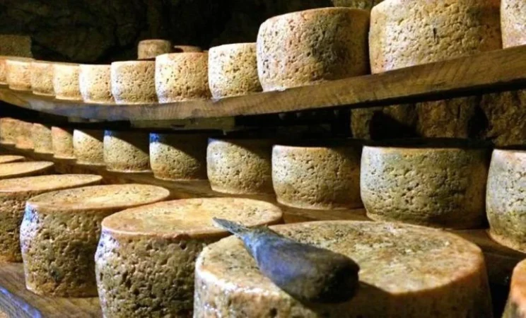 La joya gastronómica de la región, el queso Cabrales