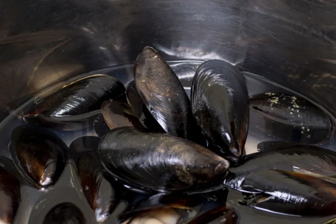 ¿Puedes usar este procedimiento para cocinar tus comidas preferidas con almejas congeladas? ¿Qué pasos seguir?