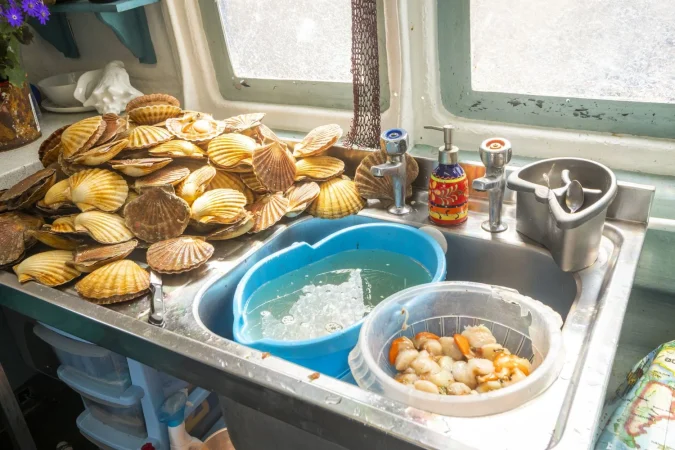 Consejo para abrir moluscos y eliminar la suciedad de manera veloz